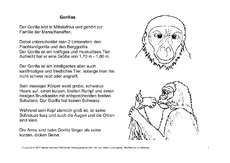 Fehlerlesen-Gorilla-Lesetext-1-4.pdf